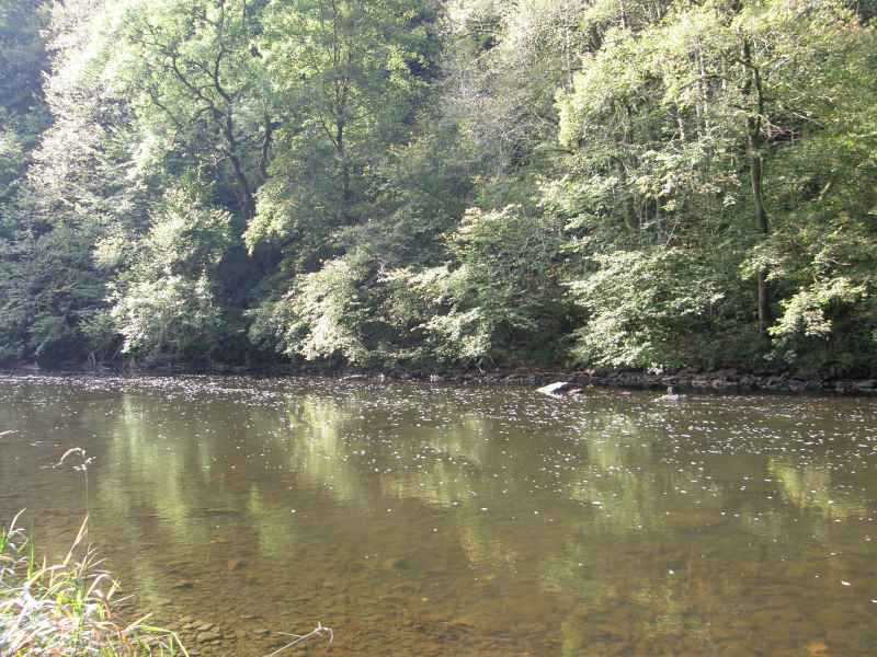 photo 2 promenade  Ourthe Nadrin Houffalize